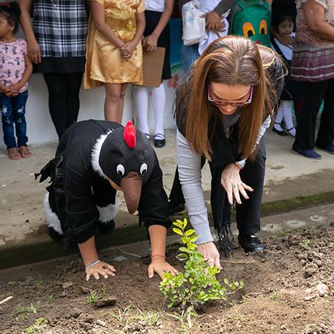 Niñas y adultos plantan una pequeña planta en el suelo.