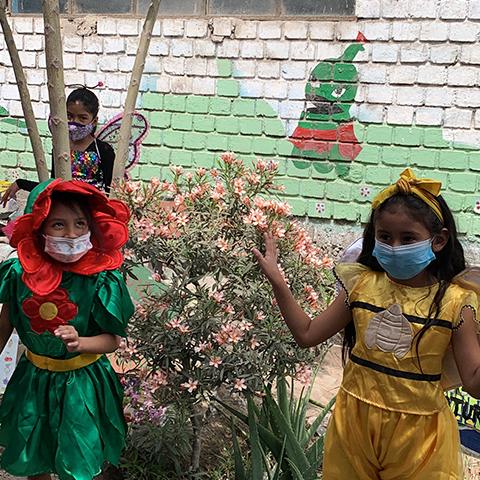 Niñas y niños participan en una actividad de cuidado y observación de plantas.